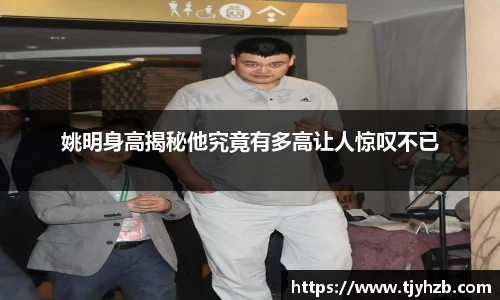 摩根体育
