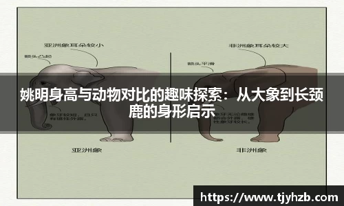 姚明身高与动物对比的趣味探索：从大象到长颈鹿的身形启示